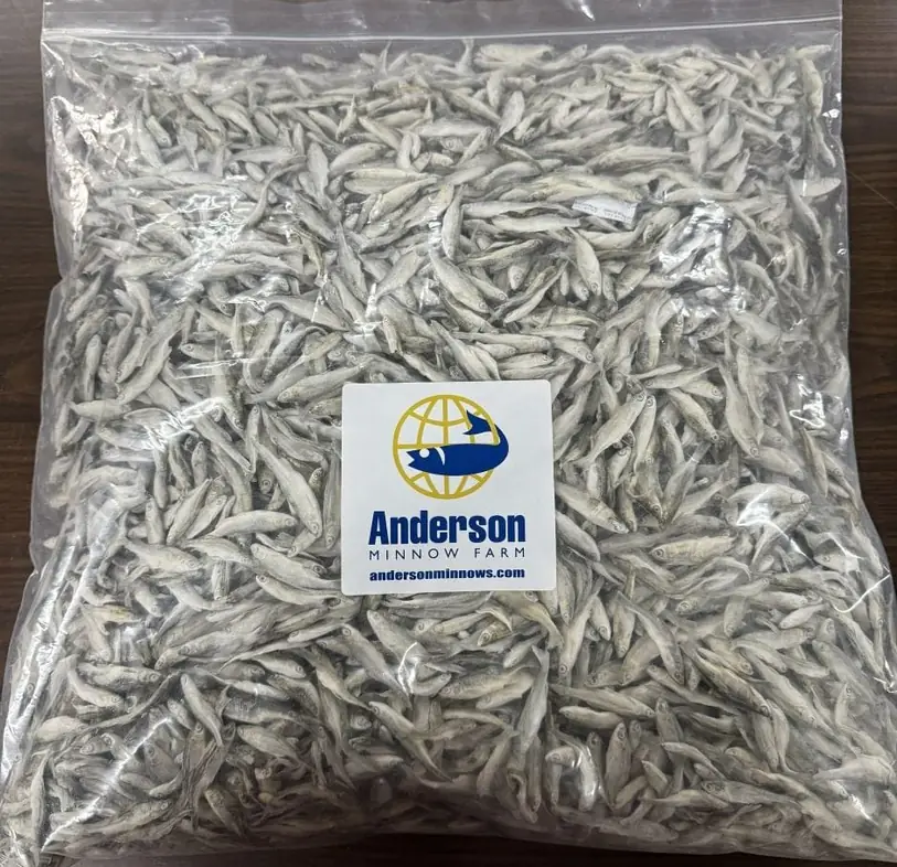 A clear bag of freeze-dried minnows with the Anderson label